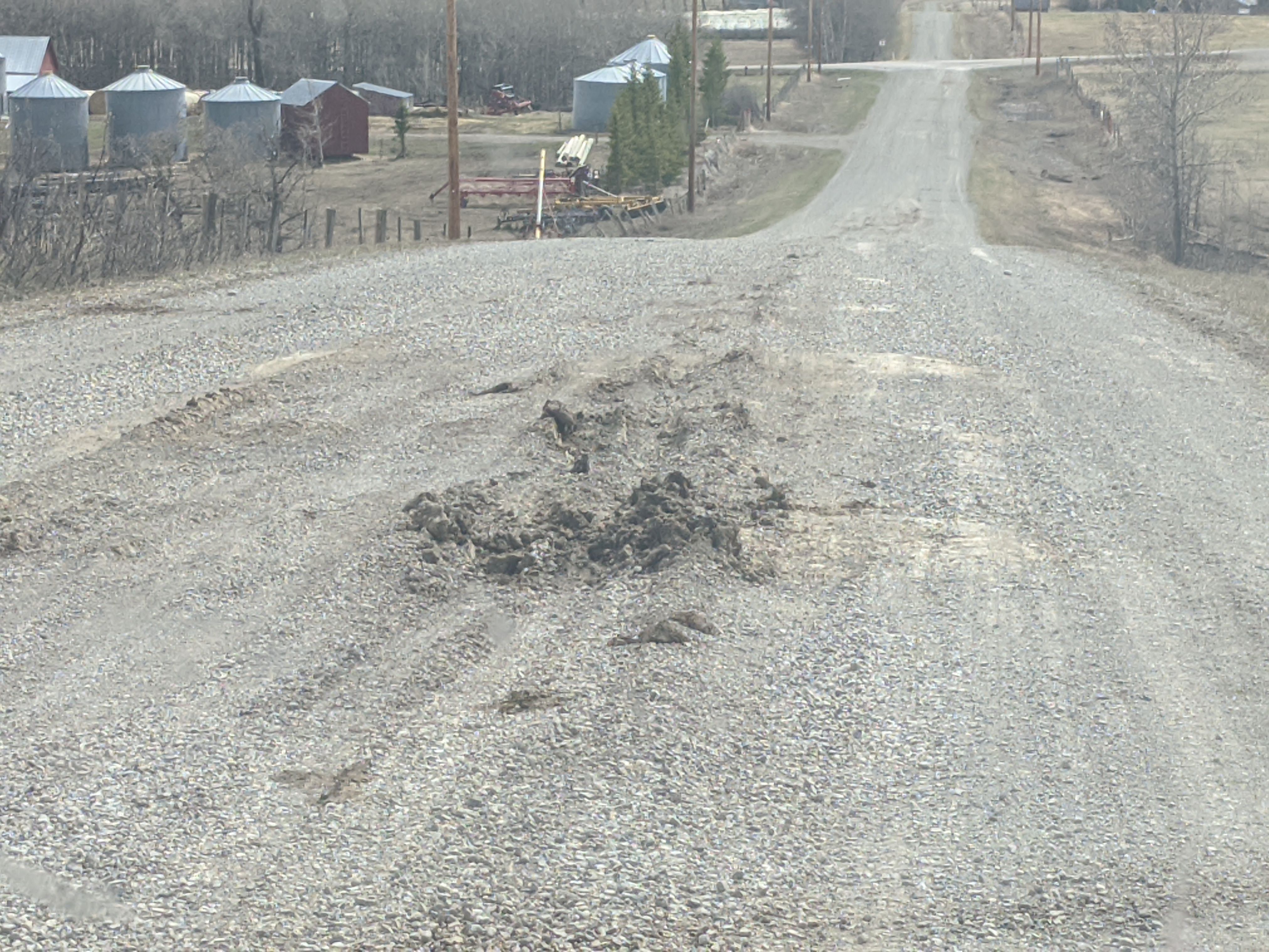 Municipal District of Pincher Creek No. 9